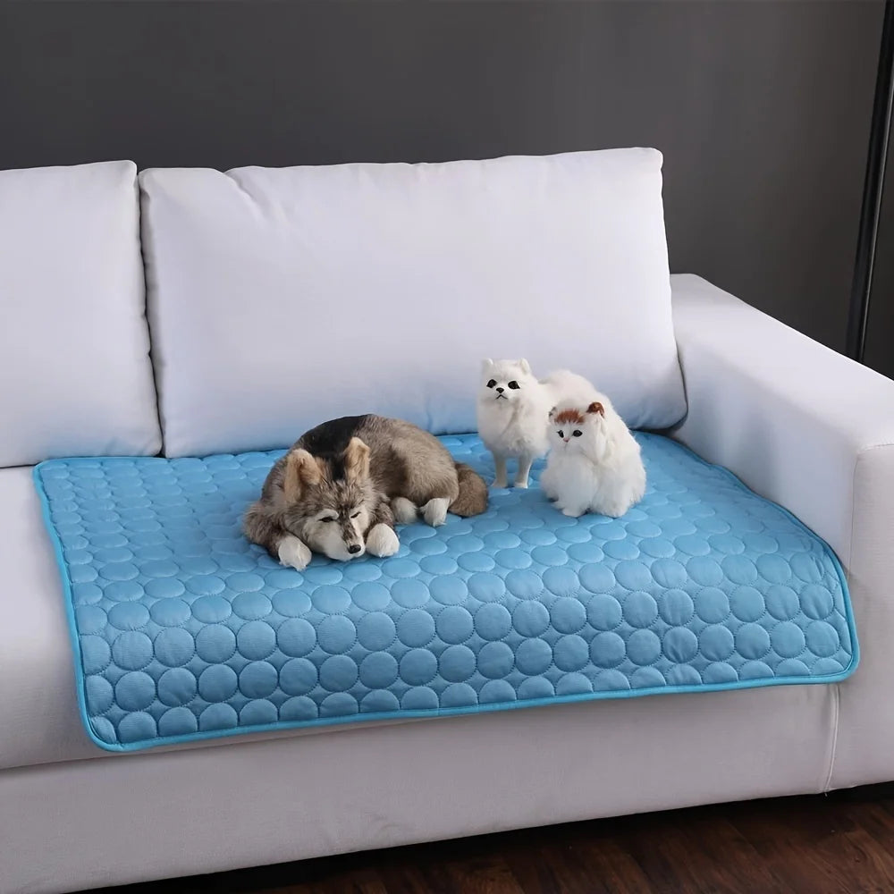 CoolPaws - Du gönnst dir Abkühlung im Sommer. Warum nicht deinem Liebling?